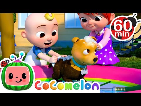 Bingo The Dog Bath Time Song | Cocomelon | Kids Cartoon Show | Toddler Learning Cartoons