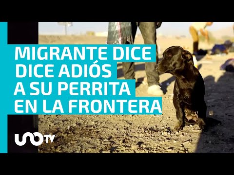 &iexcl;Triste despedida! Migrante venezolano entrega a su perrita en M&eacute;xico para poder cruzar a EU