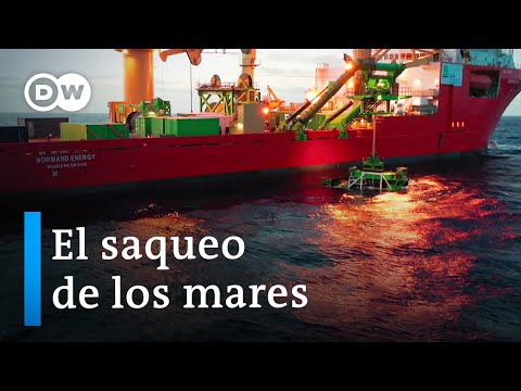 Un oc&eacute;ano de codicia | DW Documental