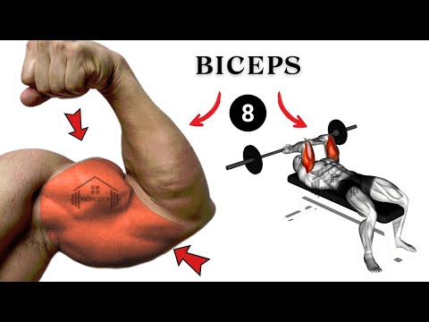 8 Fastest Effective Biceps Workout - Biceps Workout in the gym to make your arms big and perfect.