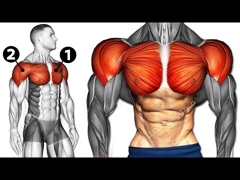 Chest and Shoulder Workout (DUMBBELL ONLY)