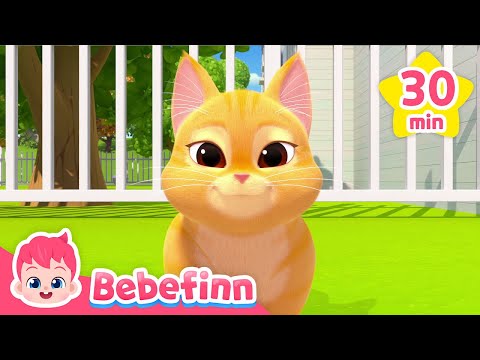 Boo! 🐈&zwj;⬛ Fluffy Animal Friends and Bebefinn FamilyㅣNursery Rhymes Compilation