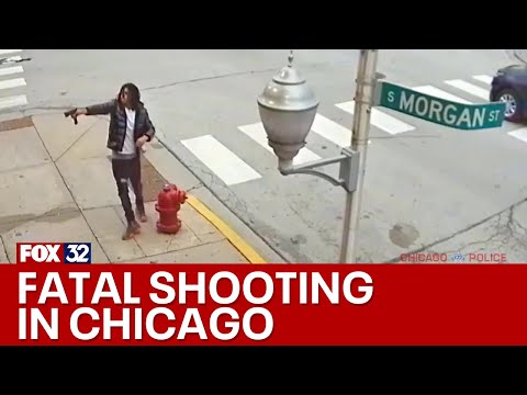 Video shows suspect fire shots at person in Chicago