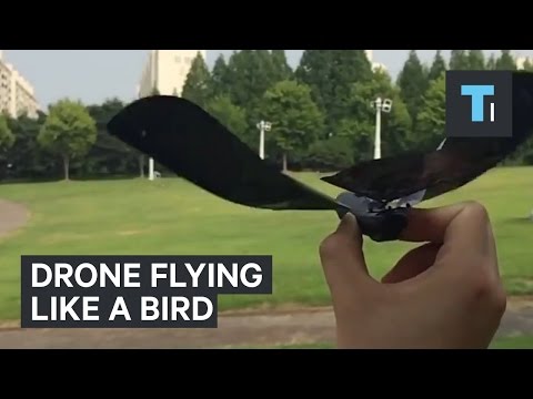 This drone looks and flies just like a bird