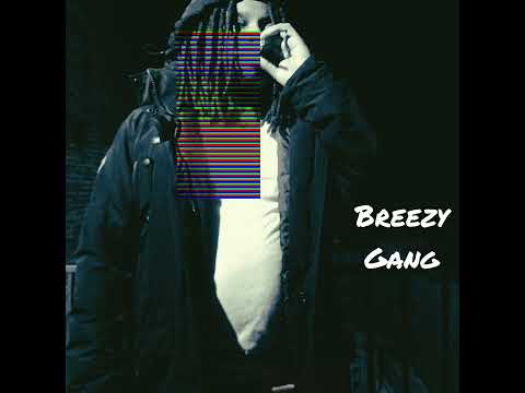 Breezy Gang - Close That Door