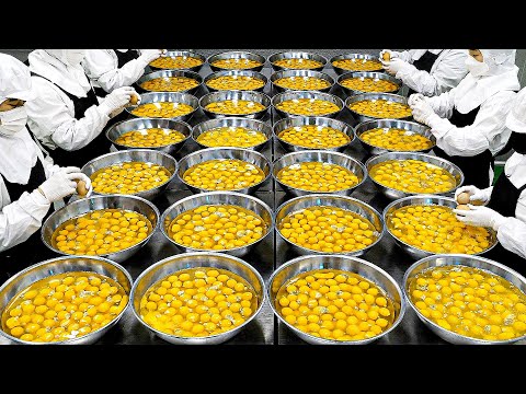 Amazing mass production! Bread, Cake Factory Manufacturing Video BEST10 / Korean Bread Factory