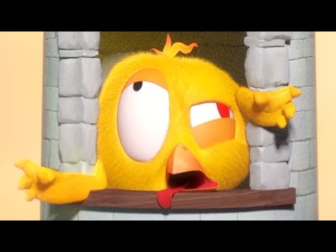 Where's Chicky ? 👑 KING CHICKY - NEW episodes in HD