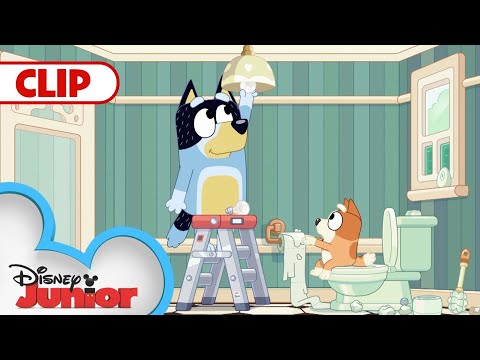 Day In The Life With The Heelers 💙 | Bluey | @Disney Junior