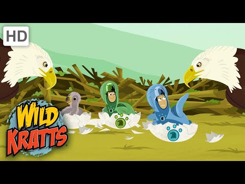 WILD KRATTS | Eagle Creature Suits | Cute! | NATURE