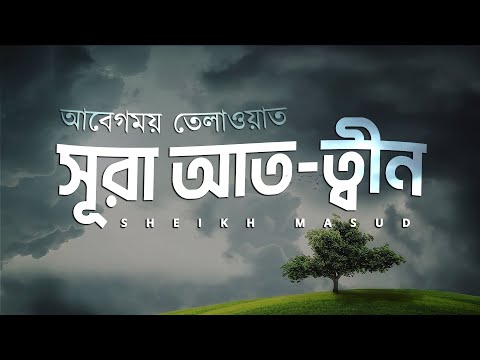 সূরা আত-ত্বীন এর সুন্দর তেলাওয়াত। Nice tilawat of Surah At-Tin । سورة التين | Sheikh Masud