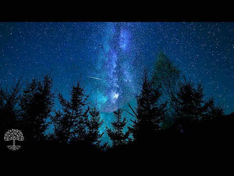 Emotional and Spiritual Healing ★ Deep Healing for Body and Soul ★ Meditation/Relaxation