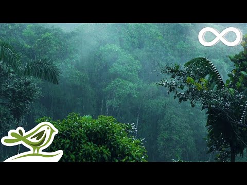 Relaxing Music &amp; Soft Rain: Sleep Music, Calm Piano Music, Healing Music, Peaceful Music ★149