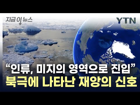 북극이 이상하다...&quot;이제껏 가보지 못한 상황 진입&quot; [지금이뉴스] / YTN