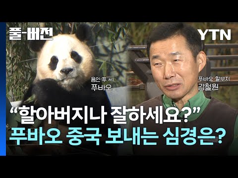 🐼'강바오'  강철원 사육사, 푸바오 중국 보내는 심경은?[풀버전] / YTN