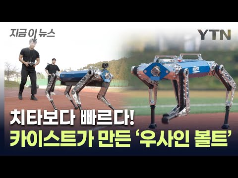 트랙 위를 '껑충껑충'...카이스트 로봇이 세운 세계 기록 [지금이뉴스] / YTN