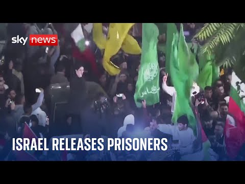 'We were treated like dogs' - freed Palestinians complain of mistreatment | Israel-Hamas war