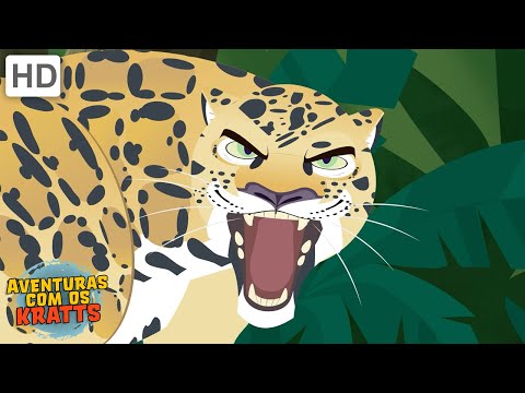 Criaturas do Caribe | Macacos, tubar&otilde;es + mais! [epis&oacute;dios completos] Aventuras com os Kratts