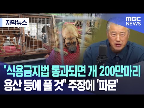 [자막뉴스] &quot;식용금지법 통과되면 개 200만마리 용산 등에 풀 것&quot; 주장에 '파문' (2023.11.22/MBC뉴스)