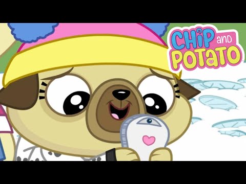 Chip and Potato | Happy Snow Birthday Chip! | Cartoons For Kids