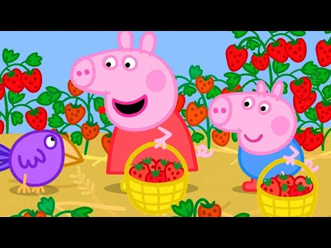 The Strawberry Farm 🍓 | Peppa Pig Official Full Episodes