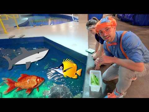 Blippi Visits an Aquarium (Ody Aquarium) - Blippi | Educational Videos for Kids