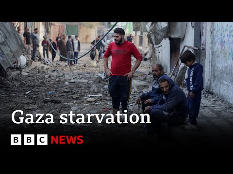 UN warns half of Gaza's population is starving - BBC News