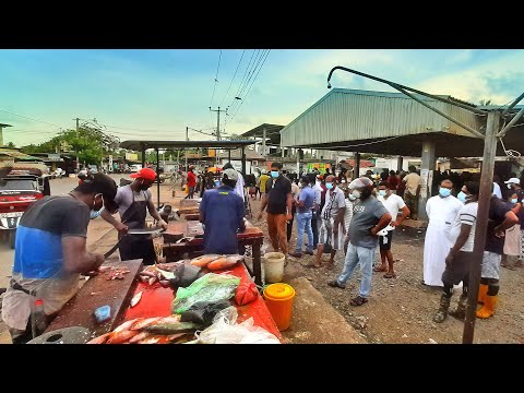 AMAZING ITERESTING !! FISH CUTTING BY MR NIMAL SRI LANKA ALL IN ONE VIDEOS | VILLAGE  FISH CUTTING