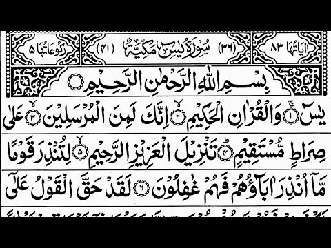 Surah Yasin ??+ | Surah YASEEN (Ya-Seen) | سورة يس | Live