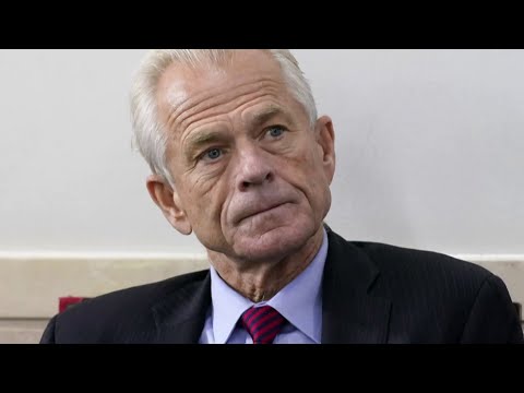 Jail: Facing Criminal Subpoena, Trump Aide Threatens Biden, Pelosi, Fauci | Navarro MSNBC Interview