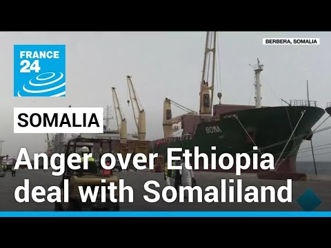 Somalia vows to defend sovereignty after Ethiopia-Somaliland deal &bull; FRANCE 24 English