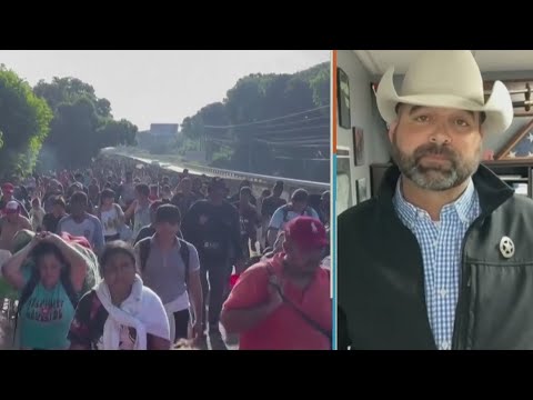 Border sheriff: Biden &ldquo;completely dismantled our border&rdquo; | Morning in America