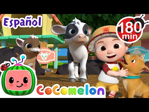 El viejo MacDonald - Versi&oacute;n para beb&eacute;s | CoComelon y los animales 🍉| Dibujos para ni&ntilde;os