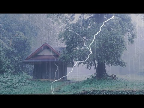 🔴 Rain and Thunder Sounds for Sleeping - Shack | Studying or Relaxation | Nature White Noise