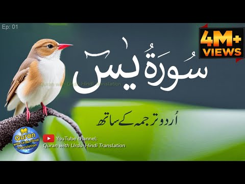 Surah Yaseen / Yasin with Urdu Tarjuma | Quran tilawat | Episode 01 | Quran with Urdu Translation