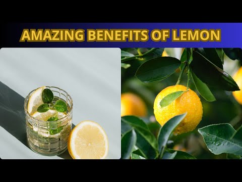 TOP 10 REASONS TO INCLUDE LEMON IN YOUR DIET