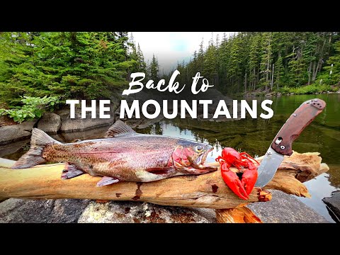 GIANT TROUT Fishing &amp; SOLO Camping!!! (Catch &amp; Cook Movie)