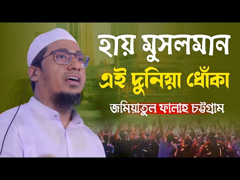 দরদী কন্ঠে হৃদয় কাঁপানো কিছু কথা || আনিসুর রহমান আশরাফী || Mufti Anisur Rahman Ashrafi