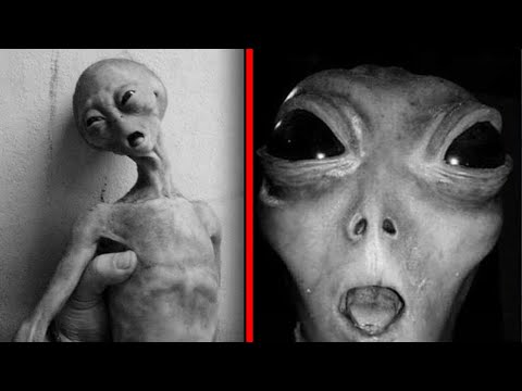 Top 5 Secret Alien Photos NASA Wants Suppressed