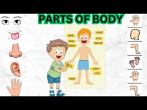 Body Parts Names with Exciting Activities: Fun and Educational Kids Learning