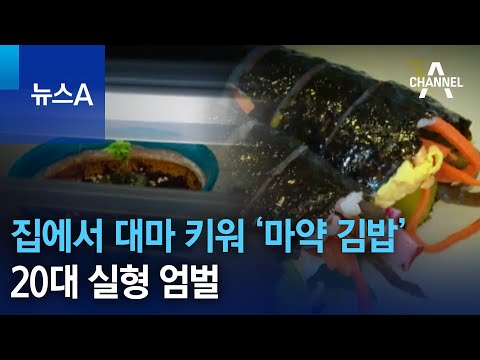 집에서 대마 키워 &lsquo;마약 김밥&rsquo; 만든 20대&hellip;실형 엄벌 | 뉴스A