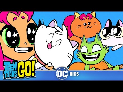 Teen Titans Go! | A Funny Cat Video | 