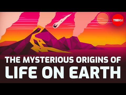 The mysterious origins of life on Earth - Luka Seamus Wright