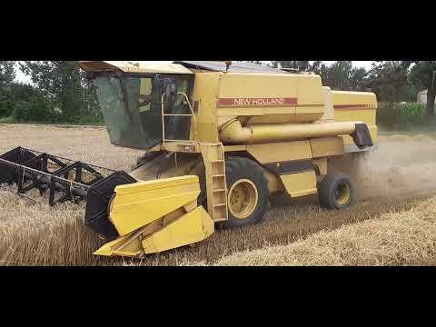 Żniwa 2021🔥New Holland Tx34🔥koszenie pszenżyta