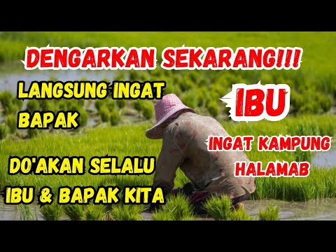 😭RINDU KAMPUNG✅ 📢 Dengarkan Sampai Habis, Langsung Ingat Masa Kecil, Ingat Orang Tua, Ingat Teman