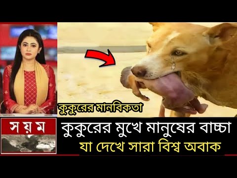 কুকুরের মুখে মানুষের বাচ্চা কি করল দেখুন | আল্লাহর কুদরতের ভিডিও | ইসলামিক কাহিনী | miracle of story