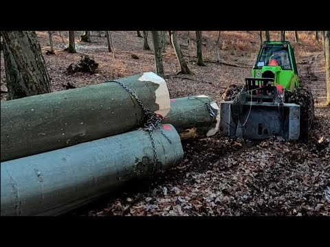 Logging, forestry tractor, hard work, forest work, large trees, @Andrew Camarata