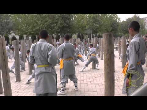 STQI To China &amp; Shaolin Luohan Garden