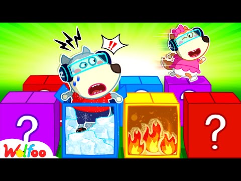 Mystery Boxes Challenge with Wolfoo | Guess what's inside? | Challenge For Kids | Wolfoo Family