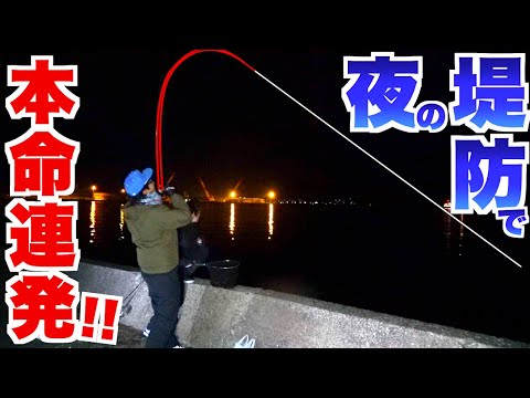 夜の堤防は本命魚の宝庫だった！！