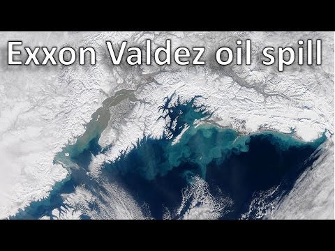 The Exxon Valdez oil spill